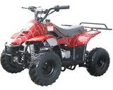 GSI - 110cc Atv Fully Automatic Mini Size Sport ATV 4 Wheeler - 3050C