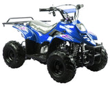 GSI - 110cc Atv Fully Automatic Mini Size Sport ATV 4 Wheeler - 3050C