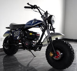 Trailmaster 200x Hurricane Mini Bike 200cc Automatic Motorcycle Adults & Juniors Street Bike - HURRICANE 200XX