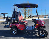 Gas Powered Golf Cart 4 Seater 200cc Renegade Fuel Edition Utility Golf UTV - GAS EDITION - BLACK