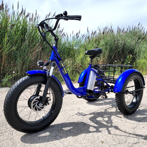 3 wheel fat fashion tire electric scooter